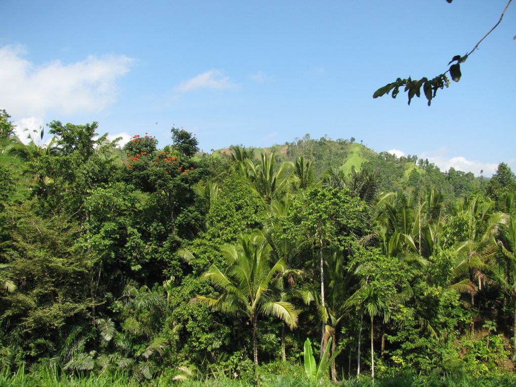 Album - Bali: Tirtatanga temple