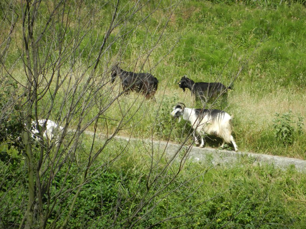 Quelques images de villes près de mon village Ofena