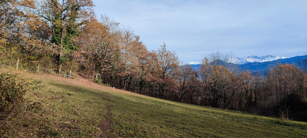 RANDO 4 - CHEMIN DES VIGNES - CRUET