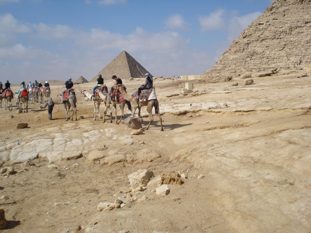 Voyage en Egypte