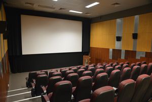 Salle de cinéma pour un village de 4'000 habitants. À quand une belle salle à Bellevue😉😉😉😉