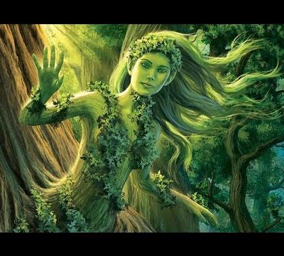 Celtic Tribal Music - Dryad's Tree