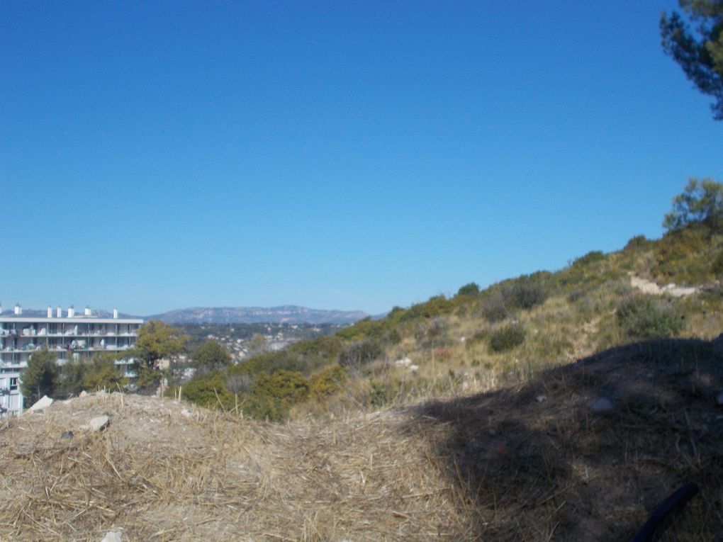 Balade dans le Mont Saint-Cyr