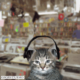 Gigistudio Un Moment De Detente Sur Le Web Videos Droles Et Insolites En Streaming Series Tv Buzz Jeux Flash Humour Images Fun Comique Logiciel Gratuit Etc