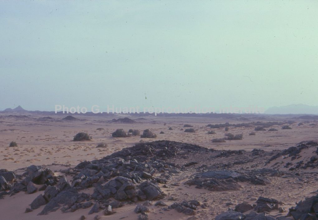 Album - Sahara
