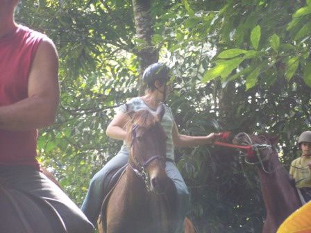 Quoi de plus sympa que de découvrir le plateau de Taravao et les environs à cheval ?!