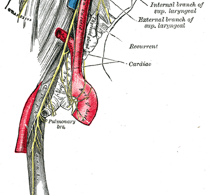 Un malaise vagal