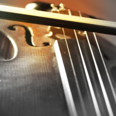 Steeve Estatof : biographie