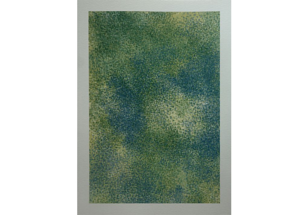 "Tapis de verdure" - 25 X 35 cm / sérigraphie - série de 15 images à tirage unique 