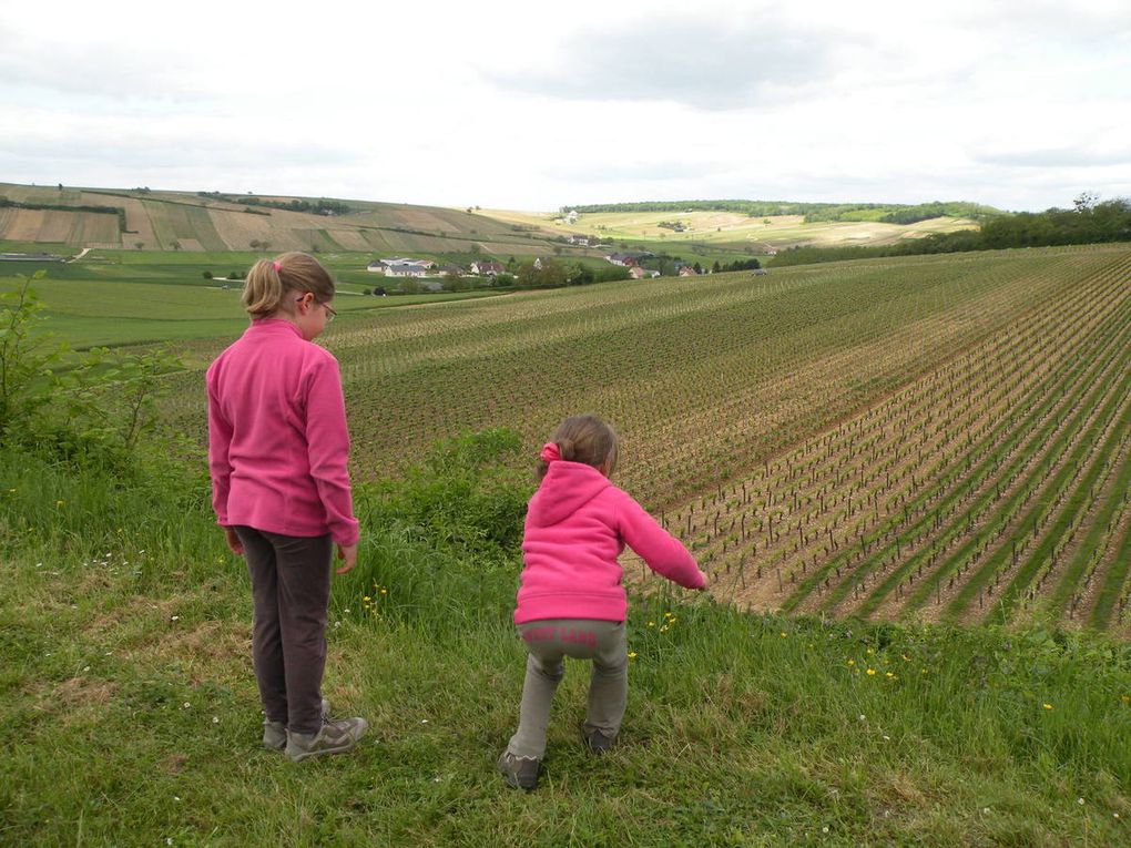 petite balade Sancerroise