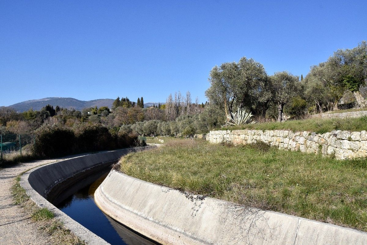LE CANAL AU FIL DES OLIVIERS