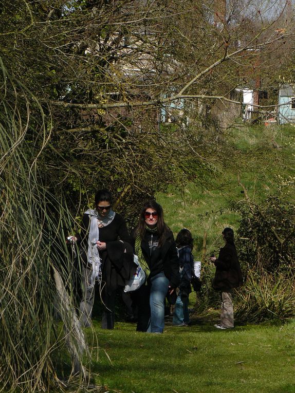 10 filles à l'Ile de Wight!