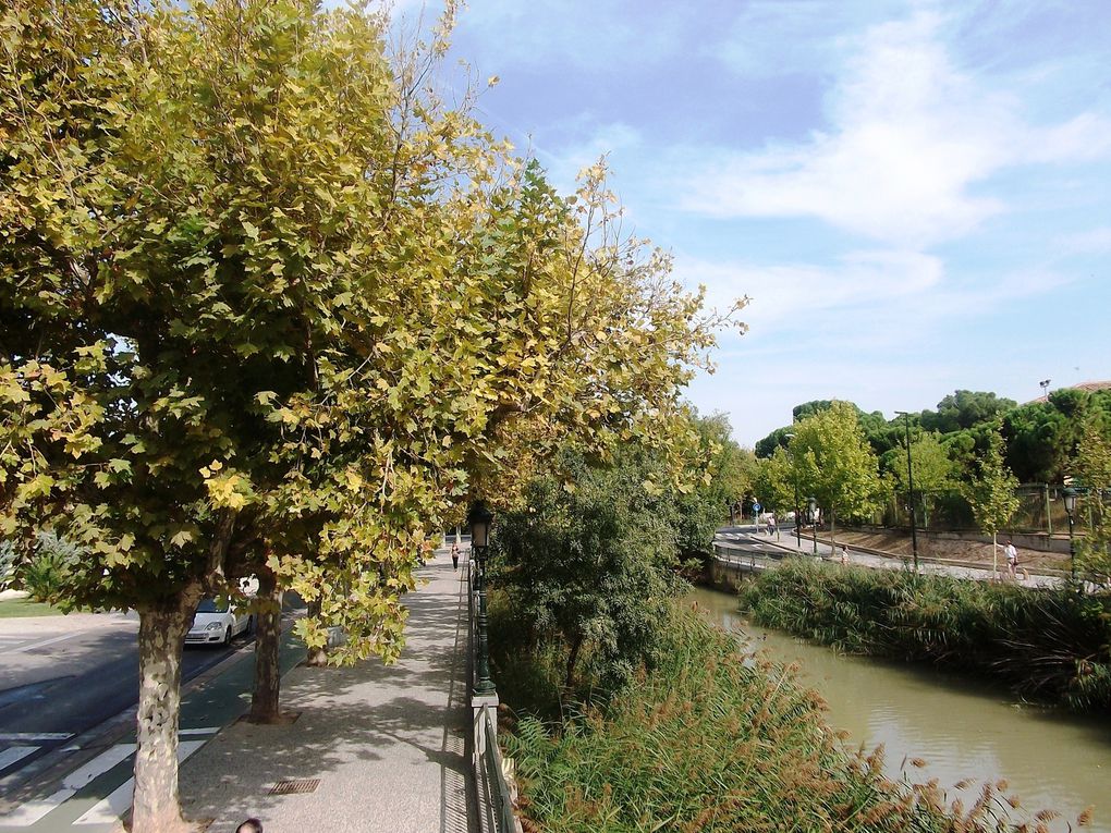 Album - Paseo-del-Canal--Zaragoza-