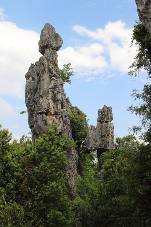 Kunming et la forêt de pierre de Shilin