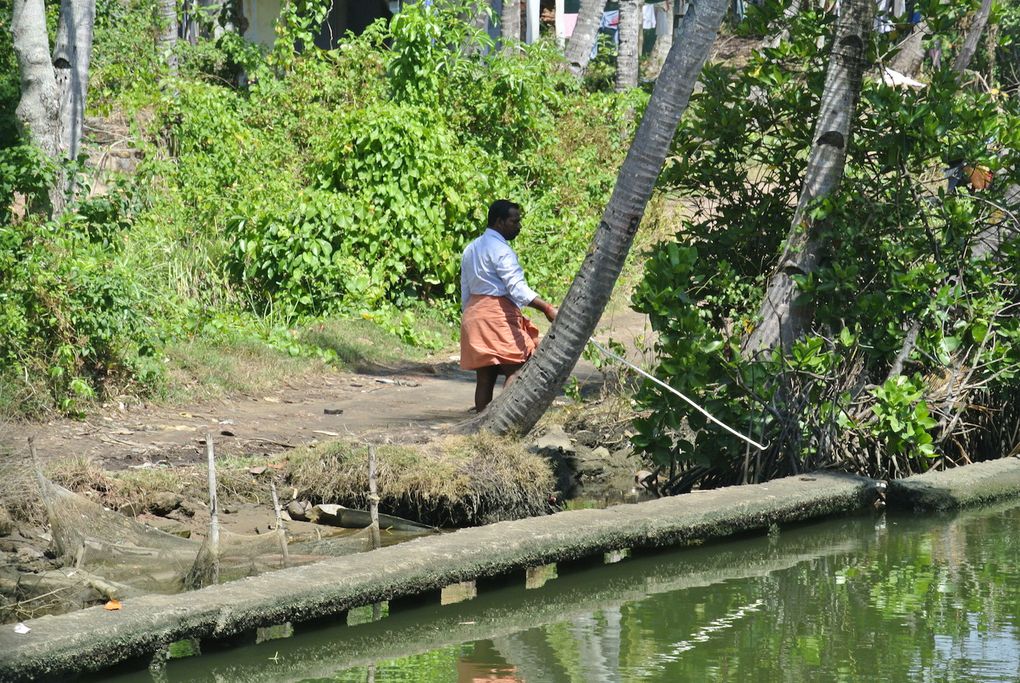 Dans les Backwaters