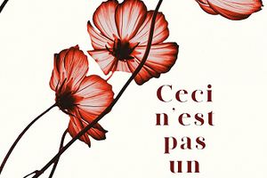 Ceci n'est pas un fait divers - de Philippe BESSON