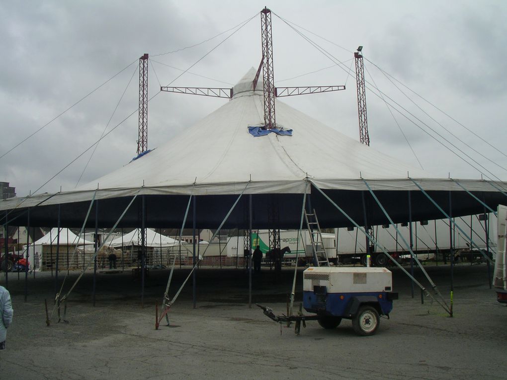 Festival-Arts-du-cirque