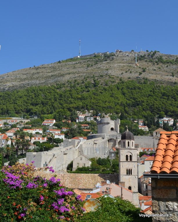 Dubrovnik