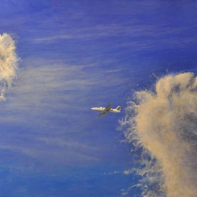 Bleus ciel (2002 - 2012)