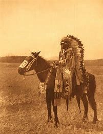 chevaux Amérindien 