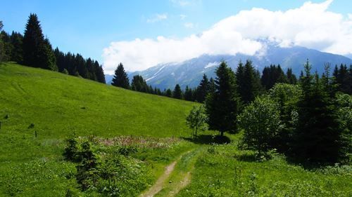 Nouvelles photos du séjour à Samoens