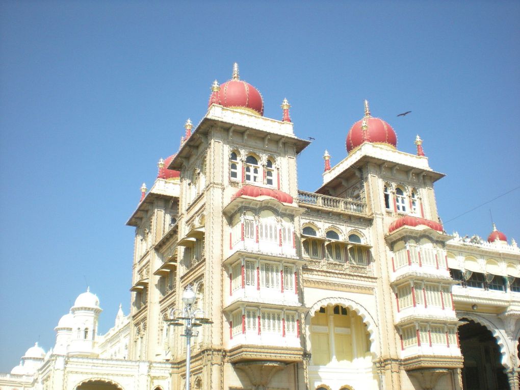 MYSORE(KARNATAKA)