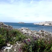 Ile du Frioul Marseille , ( Bouches-du-Rhône 13 ) AA