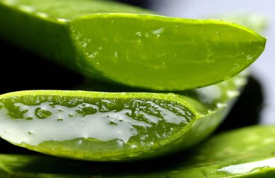 Les bienfaits de l'Aloe Vera