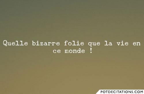 Articles Populaires Citons Precis Com Citations