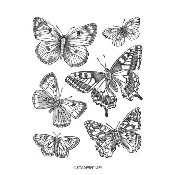 Pleins Feux Sur Bouquet De Papillons Butterfly Brilliance Stampin Up Stampin Francoise