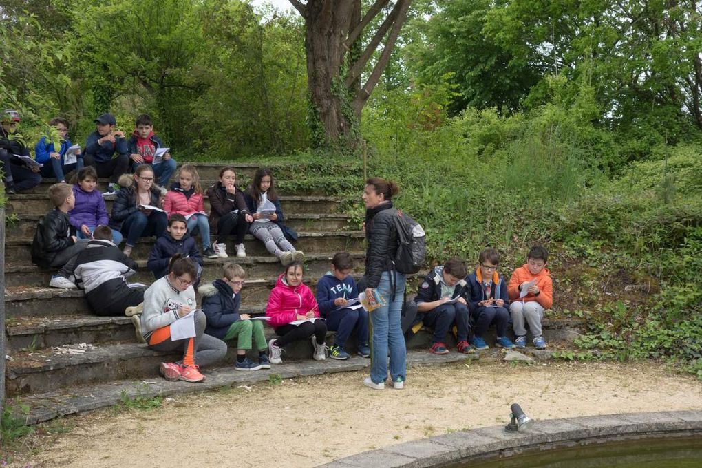 Activités découverte faune et flore aquatique...