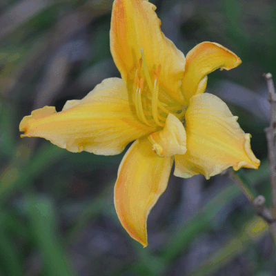 Cette fois , c'est vraiment la dernière ...