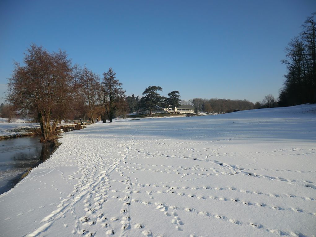 Album - 1ere-Snow-Golf-Cup-de-Tours-Adree