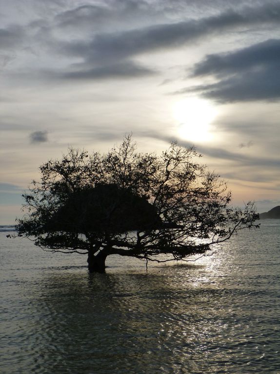 Lombok (Indonésie), décembre 2014