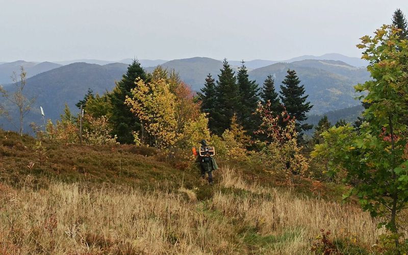 COL DU BALLON D’ALSACE : SERVANCE ET PRESLES (R 649) ~ 16,6 km ~ D+802 m ~ 5h 20mn ~ 4/6 ~ *** ~ Non compatible VTT-VAE