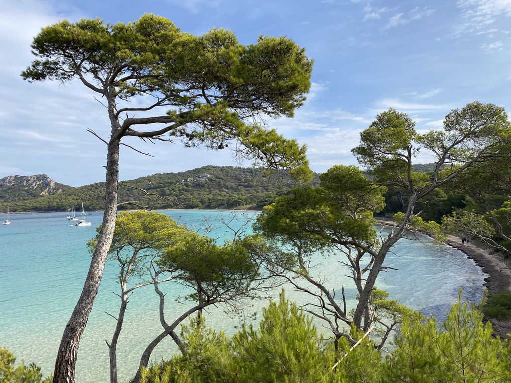 L'île de PORQUEROLLES et sa plus belle plage d'Europe