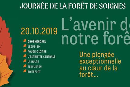 Journée de la Forêt de Soignes ce 20 octobre 
