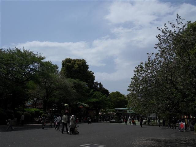 Arrivée à TOKYO, découverte de notre quartier à Asakusa, dépot des valises, puis visite du musée national d'histoire de Tokyo. Visite du parc Ueno. Balade dans Ginza