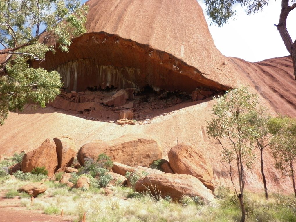 Album - Roadtrip-zum-ULURU-via-Great-Ocean-Road