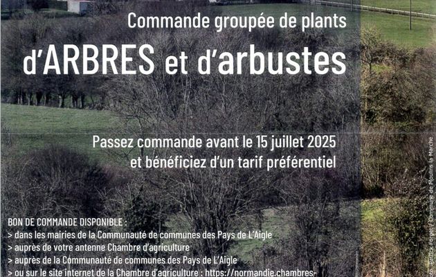 Commande groupée de plants d'arbres et d'arbustes