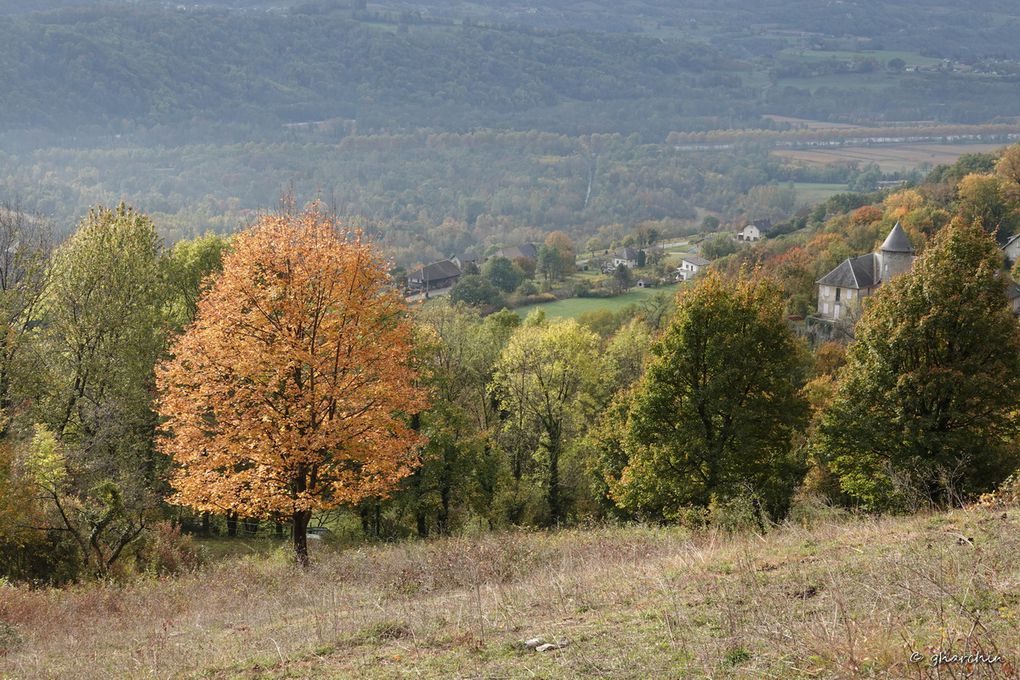 La Grande Histoire des Pelouses Sèches.