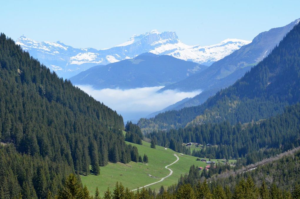 Deuxième jour : vers le lac Jovet. puis : sous le Tré de la Tête.