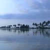 des Backwaters à Kochi