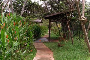 Le Zoo de Guyane - La faune