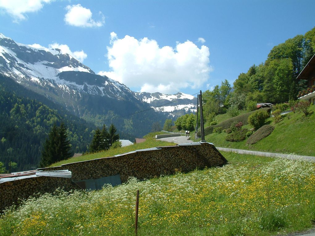 Ascension à vélo du Col de la Colombière