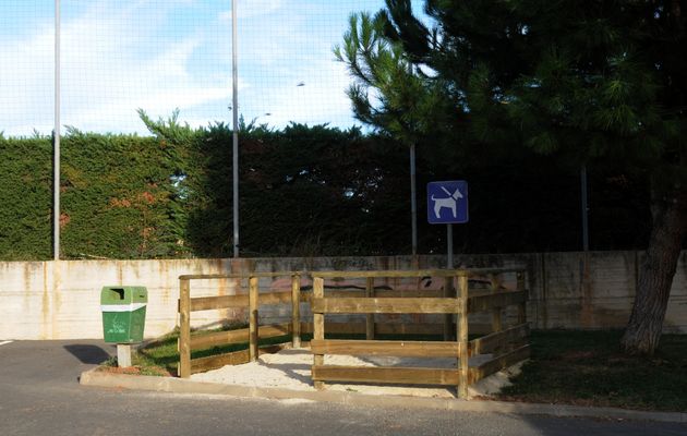 Toilette à chiens