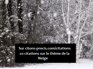 Citons Precis Com Citations Autour Des Citations Aphorismes Maximes Sentences Pensees Poetiques Et Cetera