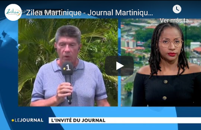 Zilea Martinique - Journal Martinique première