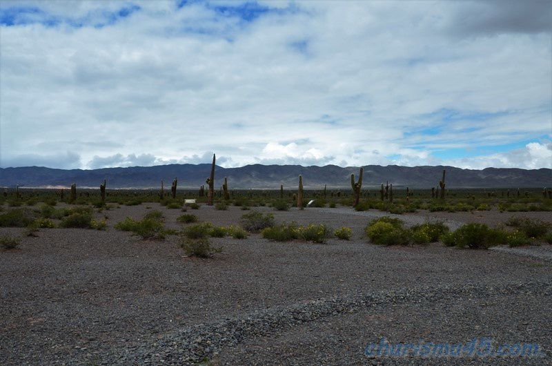 Parque nacional Los Cardones, Argentine en camping-car