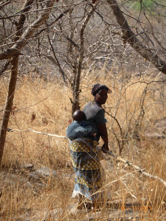 Burkina 2015